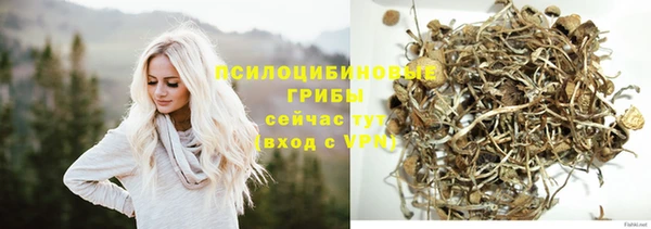 бошки Алексин